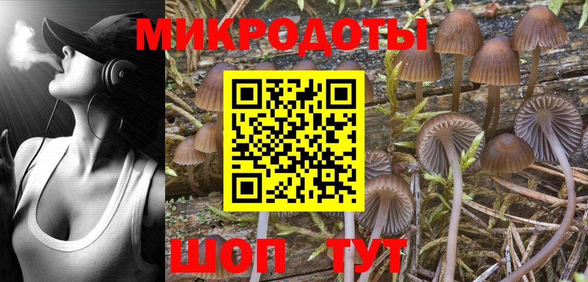 Галлюциногенные грибы Psilocybe  Вход с VPN  Назрань 