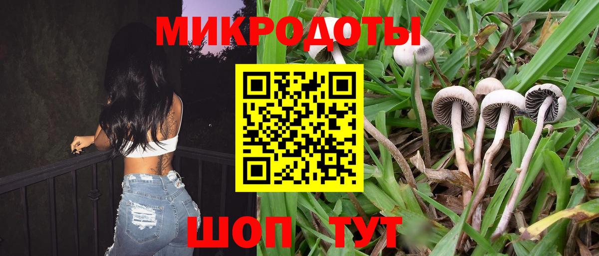 Псилоцибиновые грибы прущие грибы Назрань